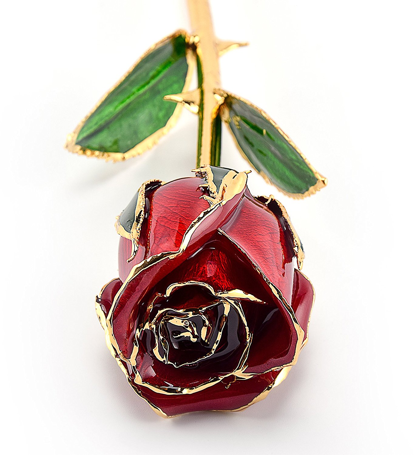 24K Gold Trimmed Fresh Cut Roses Gift Menagerie Gift Menagerie