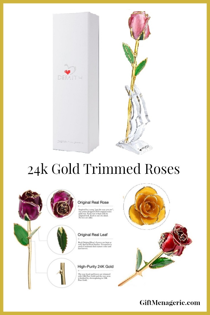 24k Gold Trimmed Roses